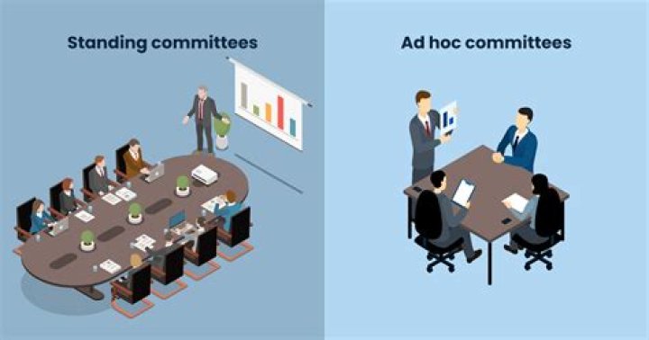 Are ad hoc committee?