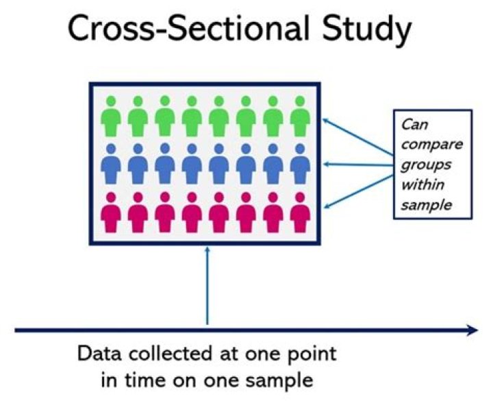 Are cross sectional study quantitative?