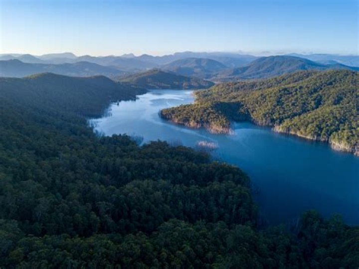 Are dogs allowed at hinze dam?