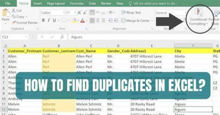 Are duplicitous and duplicate the same?