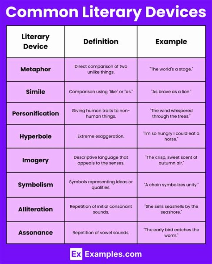 Are literary and rhetorical devices?