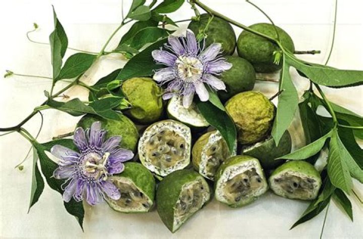 Are maypop leaves edible?