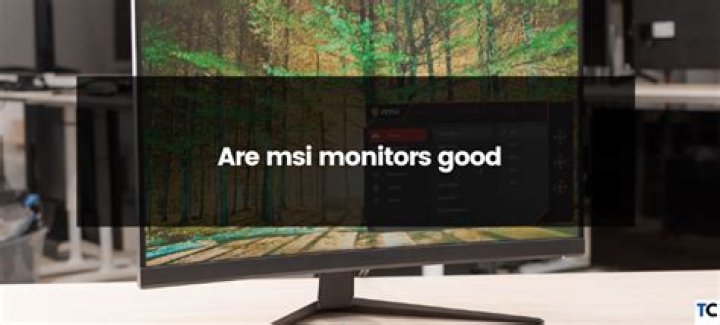 Are msi monitors good?