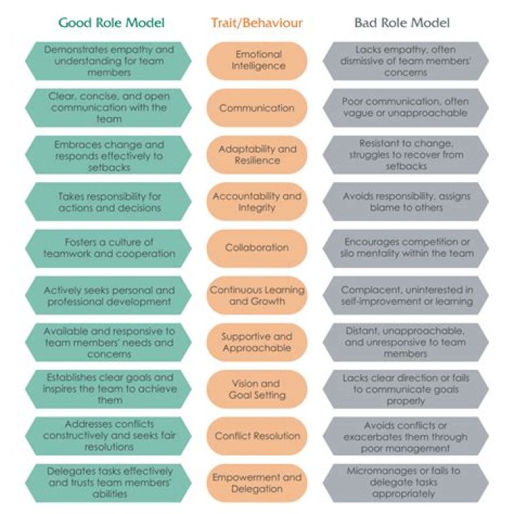 Are role models good?
