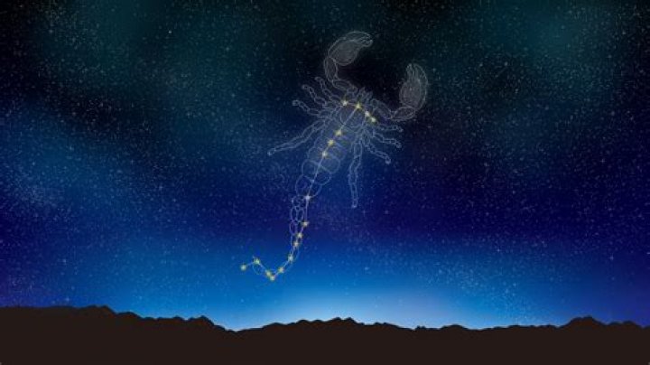 Are scorpius and rose canon?