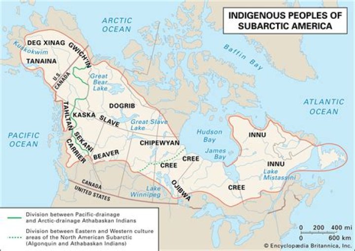 Are subarctic and taiga?