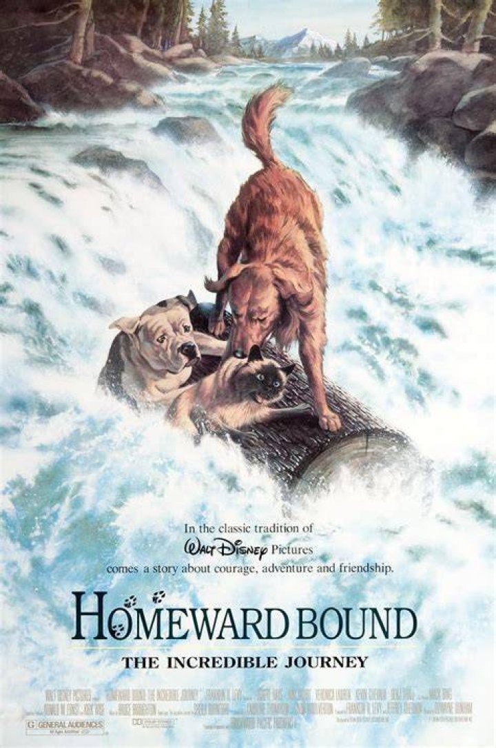 Are the homeward bound animals dead?