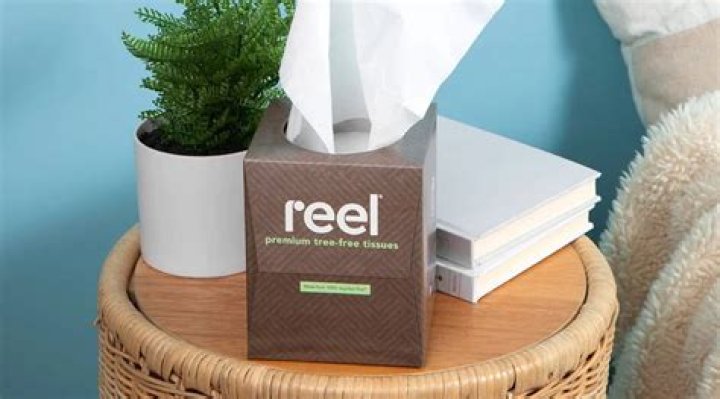 Are tissues eco friendly?