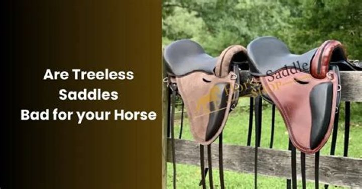 Are treeless saddles better?