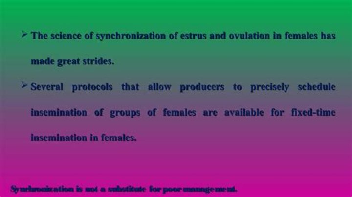 Are utilized to allow synchronization?