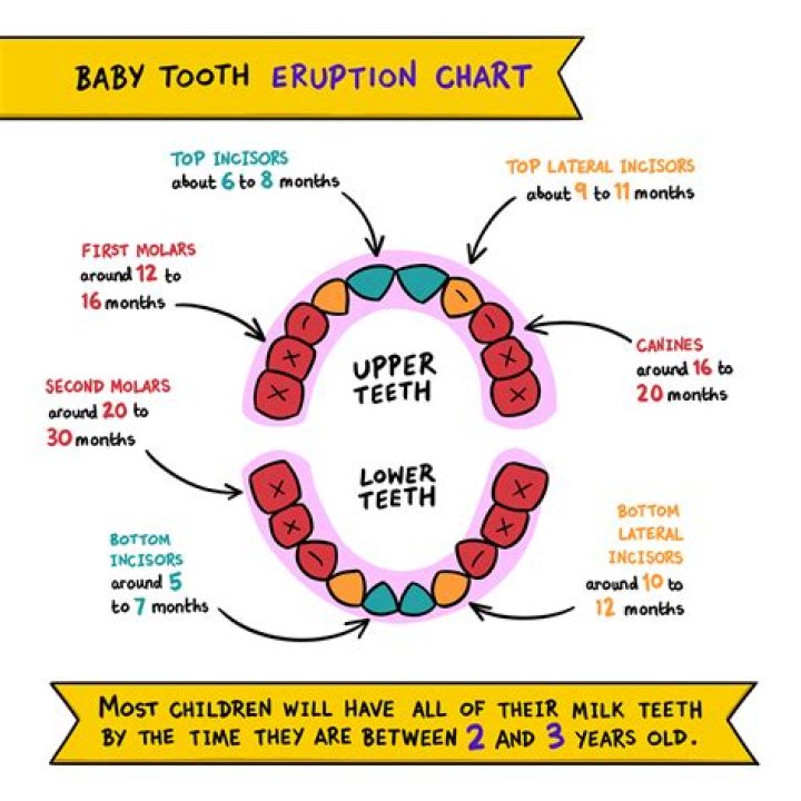 At age do babies start teething?