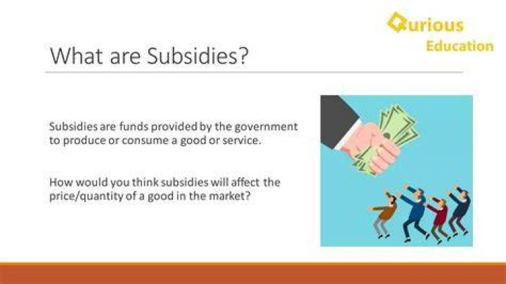 At does subsidize mean?