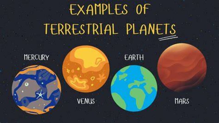 At does terrestrial mean?