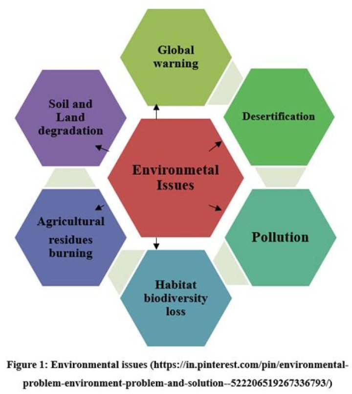 At the environmental issue?