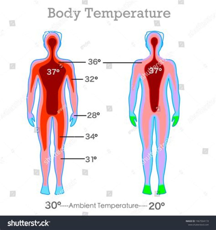 At what body temperature is it dangerous?
