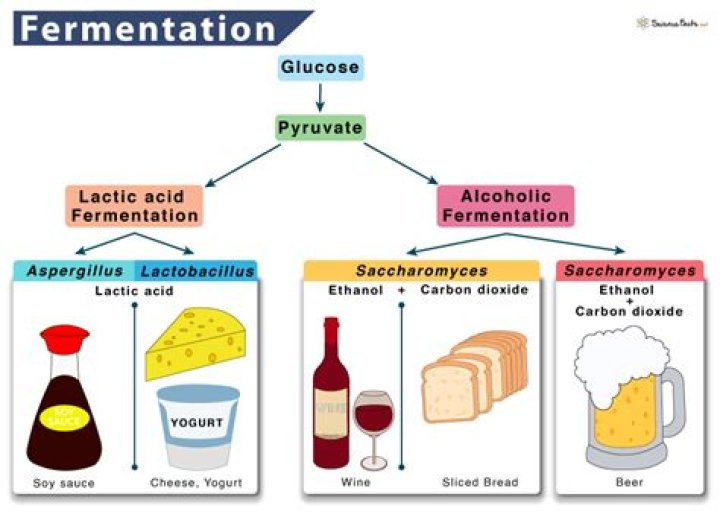 By products of alcoholic fermentation?