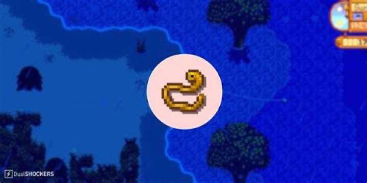 Can't catch eel stardew valley?