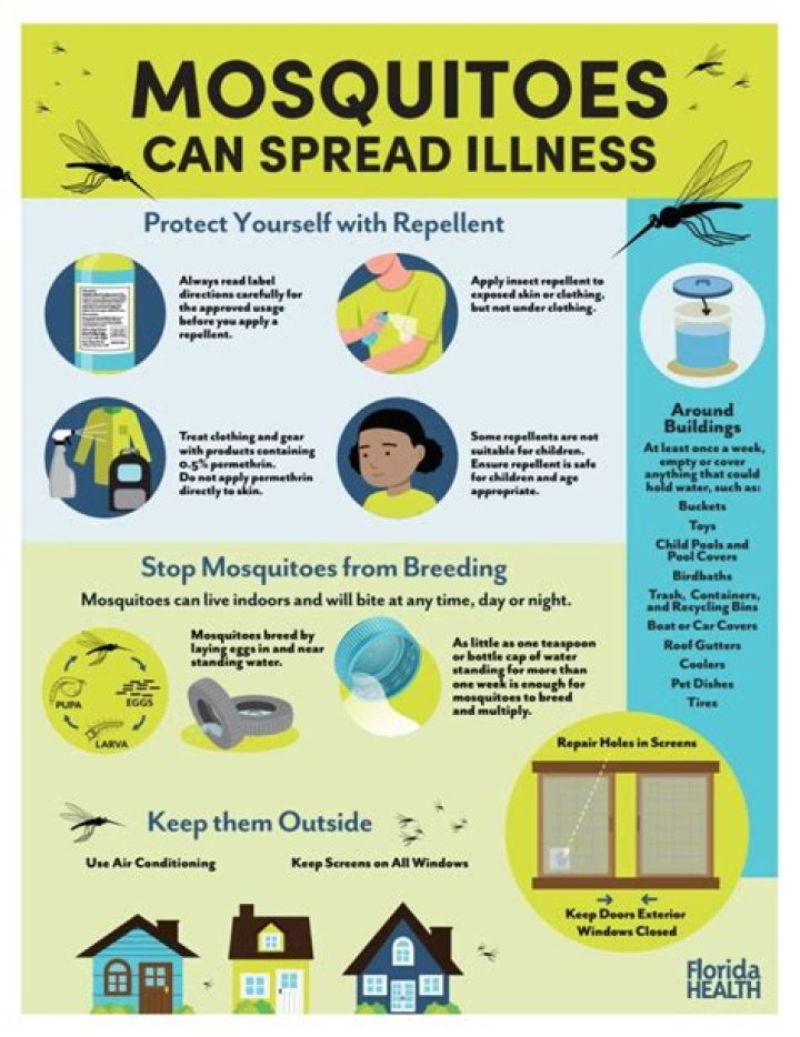 Can a mosquito spread aids?