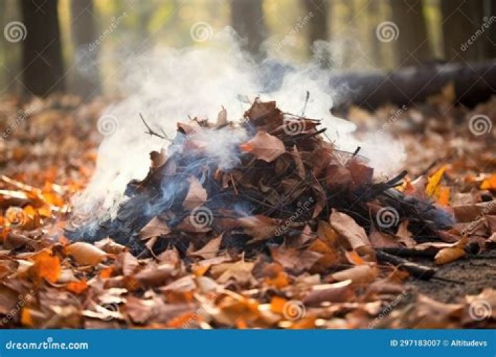 Can a pile of leaves catch fire?