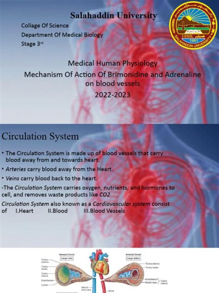 Can brimonidine cause low blood pressure?