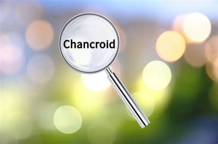 Can chancroid come back?