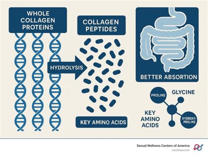 Can collagen be replenished?