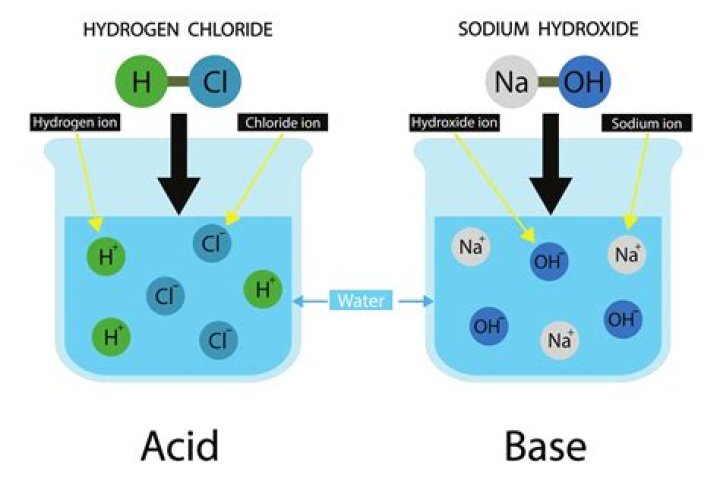 Can dissociate in water?