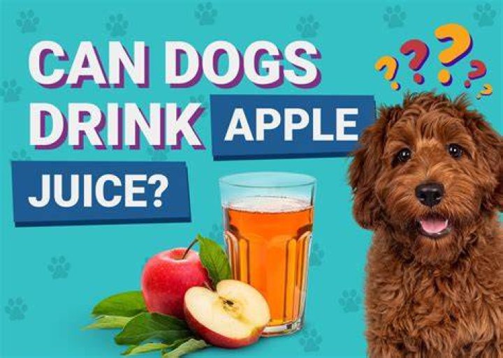 Can dogs drink sugarcane juice?