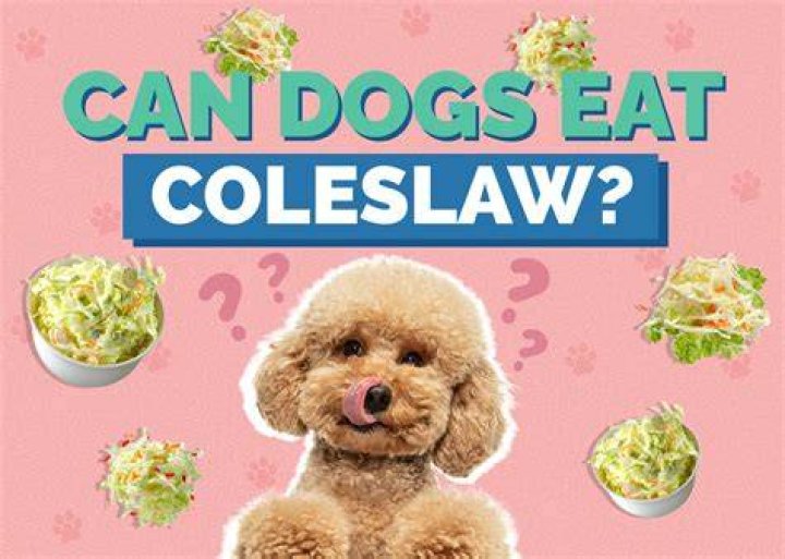 Can dogs eat coleslaw?