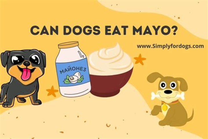 Can dogs eat dou miao?