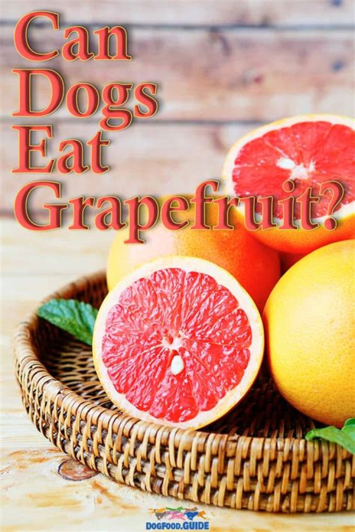 Can dogs eat grapefruit?