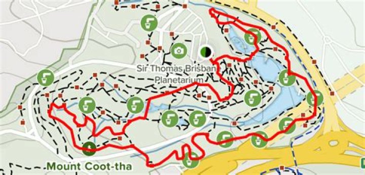 Can dogs go to mt coot tha?