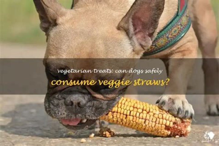 Can dogs have veggie straws?