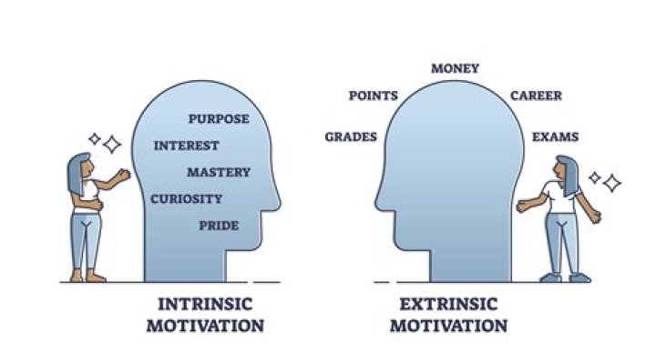Can extrinsic motivation be internalized?