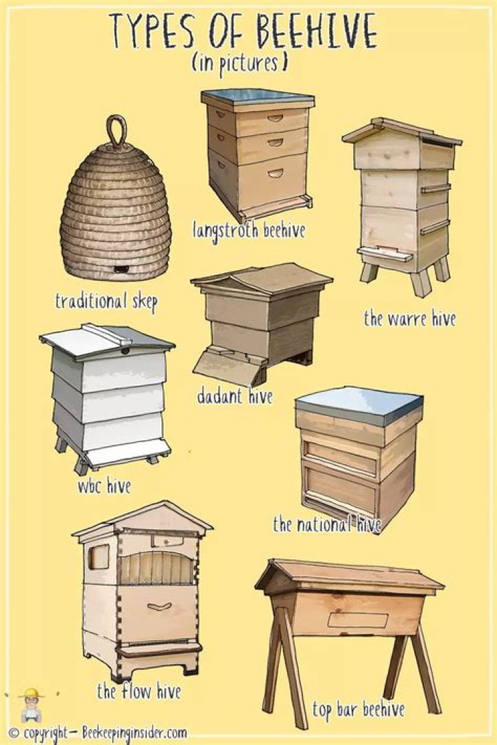 Can hives be localised?