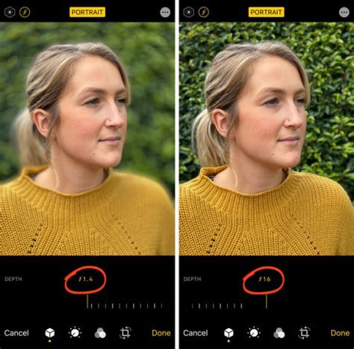 Can i get portrait mode on iphone 6s?