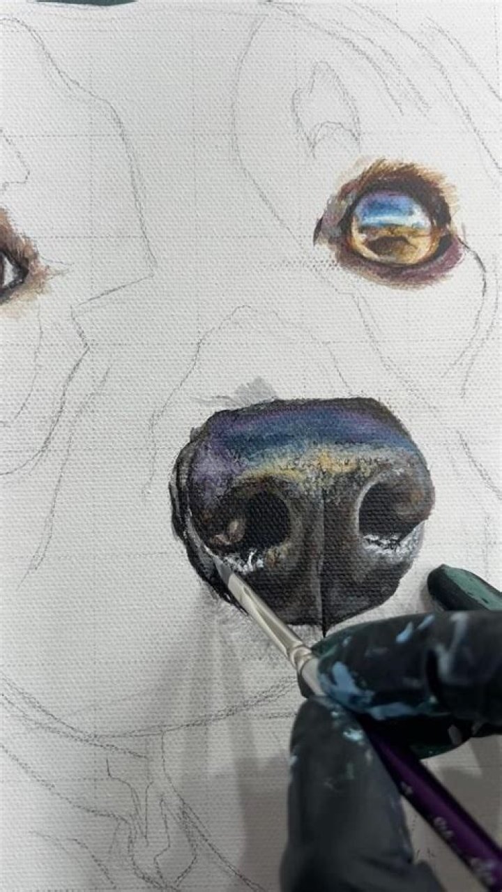 Can i paint my dog's toes?