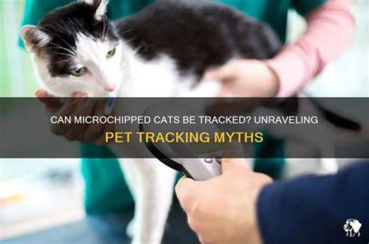 Can microchipped cats be tracked?