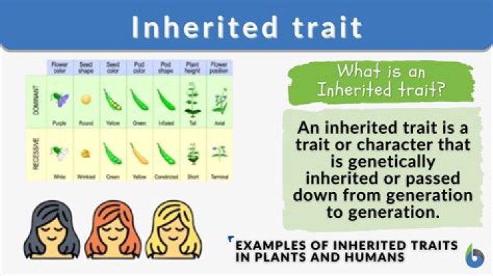 Can myriad truths be inherited?