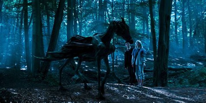 Can neville longbottom see thestrals?