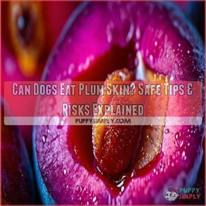 Can plum skin be eaten?