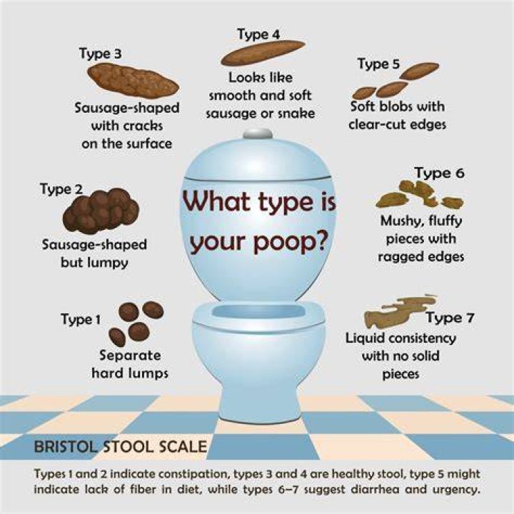 Can poop make you weigh more?