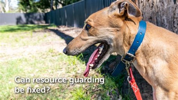 Can resource guarding be fixed?