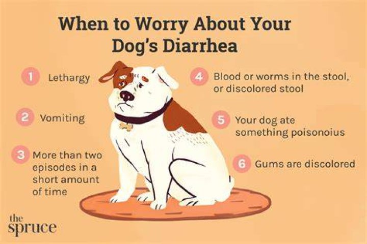 Can sprats cause diarrhea in dogs?