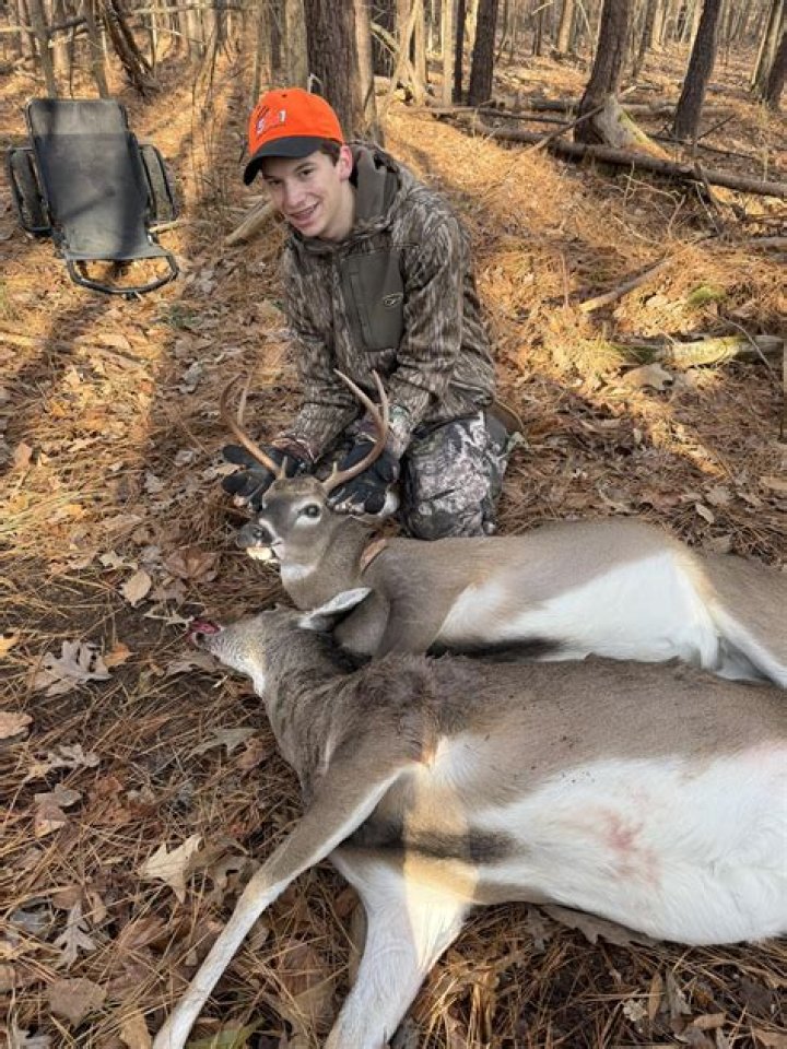 Can you age deer after butchering?