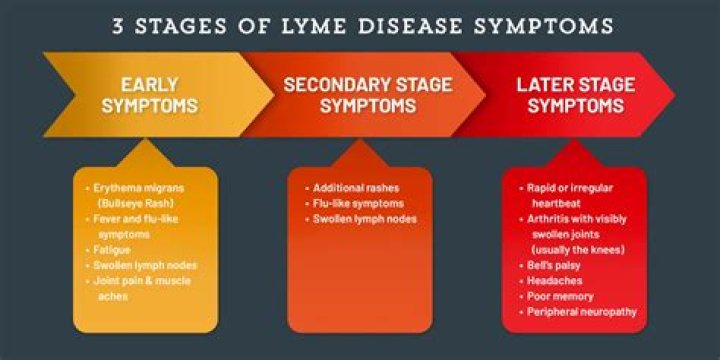 Can you die from lyme disease?