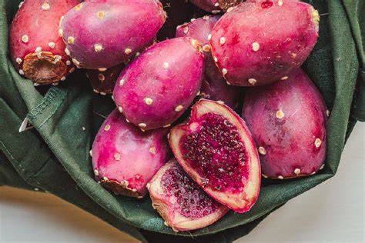 Can you eat prickly pear?