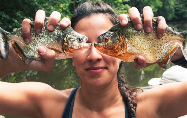 Can you own piranhas?