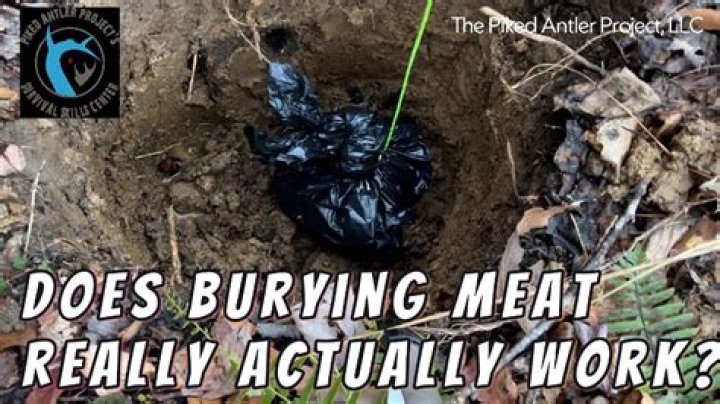 Can you preserve meat by burying it?