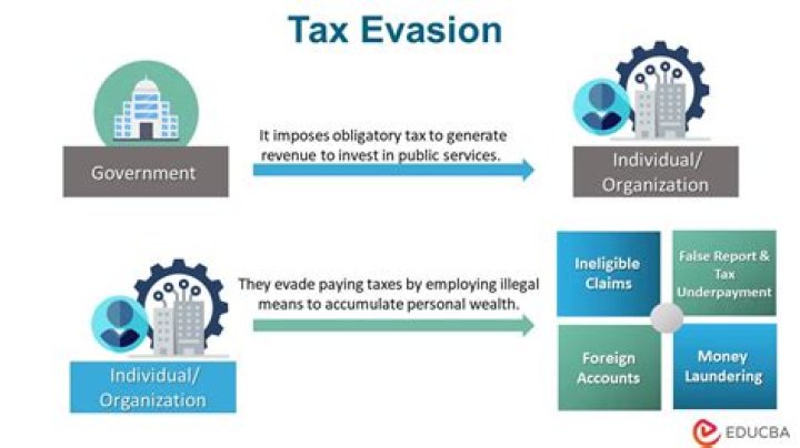 Can you report tax evaders?